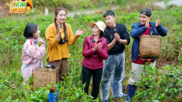 Quyền Linh, Long Vũ, Thu Hà, Ngọc Châu về quê thu hoạch chè