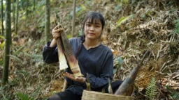 Bỏ phố về quê: Trào lưu hay xu hướng sống bền vững của người trẻ?