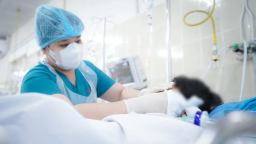 Miễn toàn bộ viện phí cho bé trai bị nhánh cây rơi trúng đầu tại TP Hồ Chí Minh