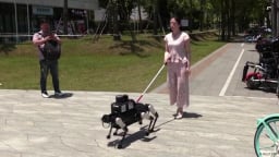 Chó thật chưa đủ, Trung Quốc tính dùng chó máy dẫn đường