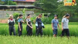 Muốn về quê làm giàu, phải có kiến thức