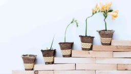 7 cách để thay đổi tư duy khan hiếm