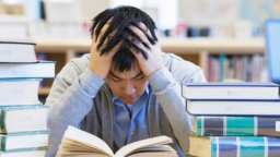 Bí quyết cân bằng giữa công việc và cuộc sống: Liệu bạn đã làm đúng cách?