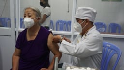 TP Hồ Chí Minh tăng cường công tác phòng, chống dịch bệnh truyền nhiễm