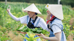 Về quê làm giàu tập 11: Long Vũ - Pháo náo loạn cả ruộng dâu