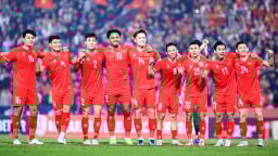 LĐBĐ Việt Nam muốn đăng cai các sự kiện thể thao của FIFA