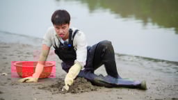 Về quê làm giàu tập 13: “Bàn tay thối” trong làng cào nghêu gọi tên Long Vũ