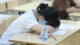 Không đỗ trường công, học sinh vẫn có nhiều lựa chọn để phát triển