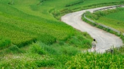 Dàn cast 'Về quê làm giàu' mê mẩn cảnh đẹp 'rụng tim' cung đường chữ S tại Pù Luông