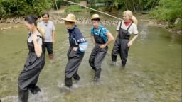 Cười bể bụng với màn Duck Walk lầy lội của dàn cast trong Về quê làm giàu