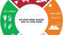 Kinh tế tuần hoàn trong nông nghiệp đang trở thành xu thế phát triển tất yếu