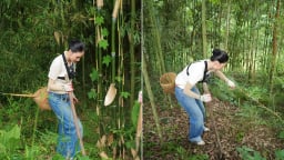 Bùi Quỳnh Hoa: Hoa hậu xắn tay đào măng giữa rừng Pù Luông