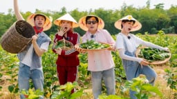 Con số ấn tượng thể hiện dấu ấn mạnh mẽ của Về quê làm giàu