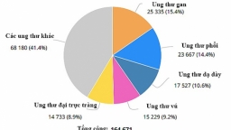 Năm 2018 hơn 164.000 người Việt phát hiện bị ung thư