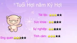 Tuổi Hợi năm Kỷ Hợi 2019: Sự nghiệp, tình cảm, tiền bạc sẽ ra sao?