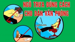 Tư thế ngủ trưa 'chuẩn' cho dân văn phòng để không đau lưng, mỏi eo