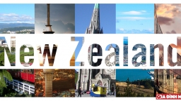 Các thành phố tốt nhất để du học tại New Zealand