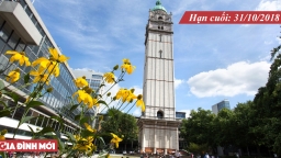 10 học bổng tiến sĩ toàn phần Đại học Hoàng gia London