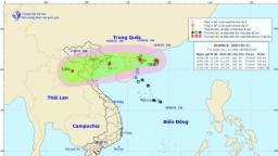 Tin mới nhất về cơn bão số 4: Hướng vào bờ biển Thanh Hoá đến Hải Phòng