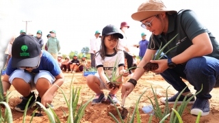 Ngày trồng cây 2025: Chung một ước mơ – tô màu xanh Việt