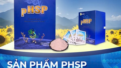 TP Hồ Chí Minh: Sử dụng bột đạm hết hạn để sản xuất thực phẩm, một doanh nghiệp bị phạt gần 3 tỷ đồng