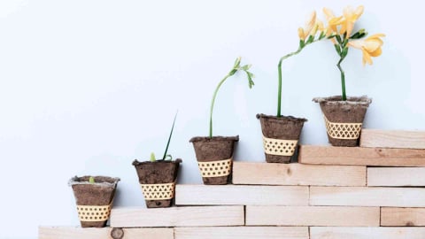7 cách để thay đổi tư duy khan hiếm