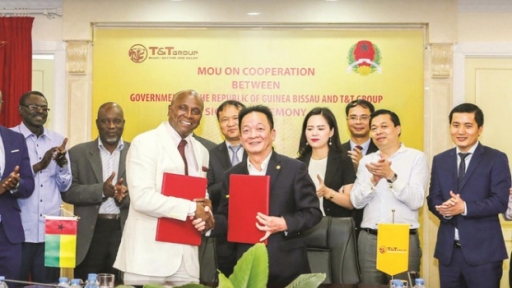 Có một T&T Group 'không biên giới'