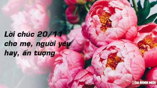 Lời chúc 20/11 cho mẹ, vợ, người yêu, chị gái làm giáo viên hay, ý nghĩa