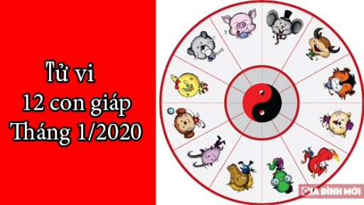 Tử vi 12 con giáp tháng 1/2020: Tuổi Sửu có một tháng khó khăn, tuổi Tỵ vô cùng suôn sẻ