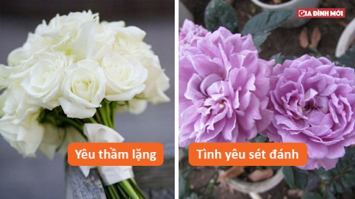 Ngày valentine nên tặng quà gì? Ý nghĩa của việc tặng socola và hoa cho người mình yêu