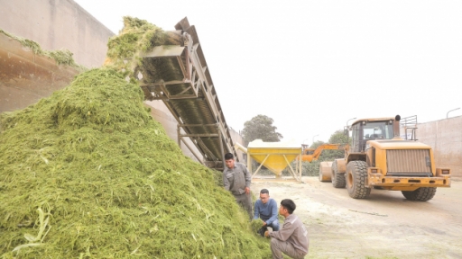 Những 'sáng chế triệu đô' tại cụm trang trại công nghệ cao khép kín lớn nhất thế giới