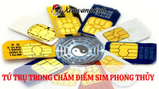 Yếu tố tứ trụ trong chấm điểm sim phong thủy