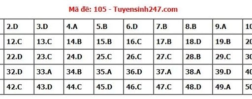 Đáp án môn Toán mã đề 105 thi tốt nghiệp THPT 2022 chi tiết, chính xác nhất