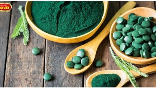 Hành trình phát triển của tảo xoắn Spirulina tại Việt Nam