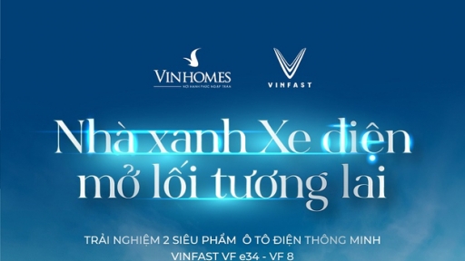 Người dân TP. HCM háo hức chờ cơ hội lái thử ô tô điện VinFast