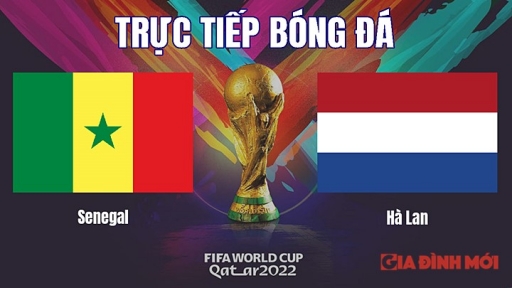 Trực tiếp bóng đá Senegal vs Hà Lan trên VTV2, VTV Cần Thơ hôm nay 21/11