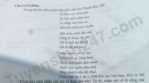 Đề thi môn Ngữ Văn lớp 10 THPT chuyên Lam Sơn năm 2023 nhanh, đầy đủ nhất