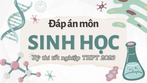 Đáp án môn Sinh học tốt nghiệp THPT 2023 tất cả 24 mã đề