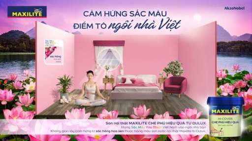 Sơn nhà cuối năm: Đi tìm màu sắc giúp không gian sống thêm nổi bật