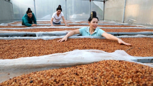 'Cà phê chị em' ở Điện Biên - nơi những người phụ nữ tìm lại vị thế của mình