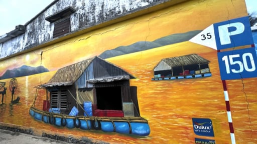 Bảo tồn hệ sinh thái biển tại đảo Lý Sơn thông qua sáng kiến Let’s Colour