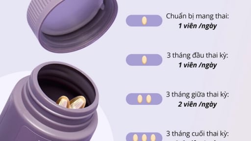 Bầu mấy tháng uống DHA? Liều chuẩn cho từng giai đoạn thai kỳ