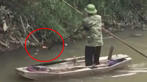 Clip: phẫn nộ người trên bờ thả cá, kẻ chích điện dưới sông