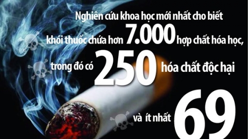 Trong khói thuốc lá chứa chất ướp xác, thuốc diệt chuột