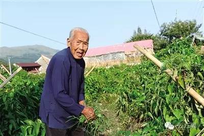 Bí quyết trường thọ của cụ bà 112 tuổi: Không uống nước nóng, ăn đồ ăn lạnh