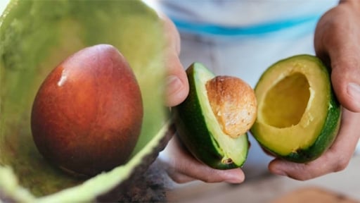 9 công dụng bất ngờ của hạt bơ đối với sức khỏe phòng ung thư, chống lão hóa tuyệt vời