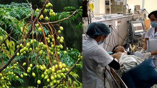 8 loại cây cực độc hơn cả lá ngón, nhấm vào là nguy kịch, đừng dại trồng quanh nhà
