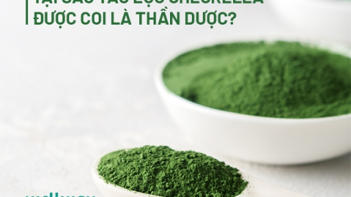 Tại sao tảo lục Chlorella được coi là 'thần dược' giúp bảo vệ sức khỏe toàn diện? 