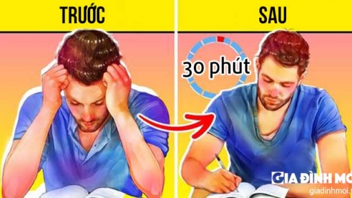 5 bí quyết giúp bạn học vào hơn, hiểu bài nhanh hơn, nhân đôi hiệu quả học tập