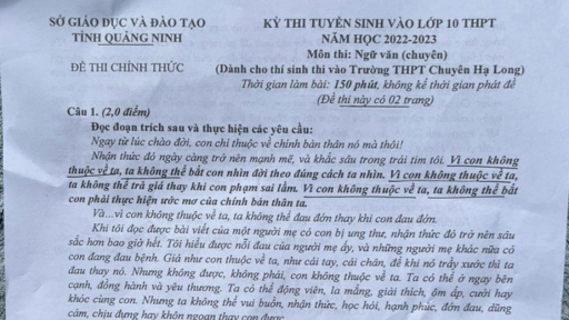 Đề thi vào lớp 10 chuyên Ngữ văn THPT Chuyên Hạ Long năm 2022 đầy đủ nhất